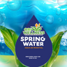 Ori Wellness Spring Water